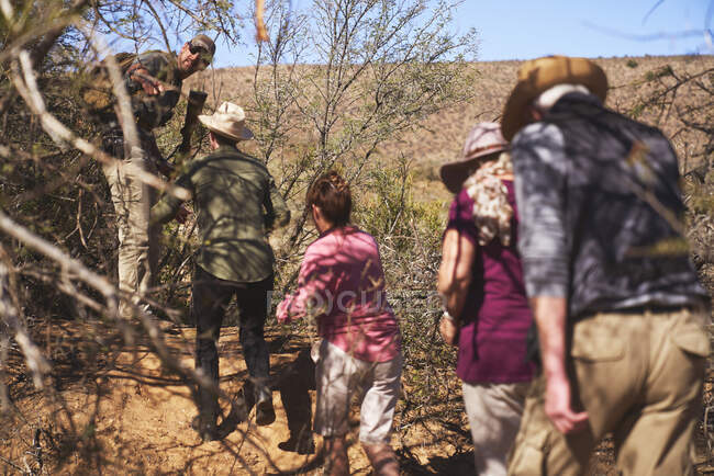 Safari groupe de randonnée à travers les arbres — Photo de stock