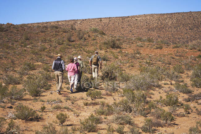 Safari tour guide leading group along sunny grassland South Africa — Stock Photo
