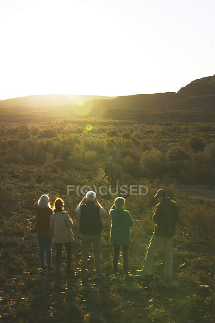 Safari tour group watching elephants in sunny grassland South Africa — Stock Photo