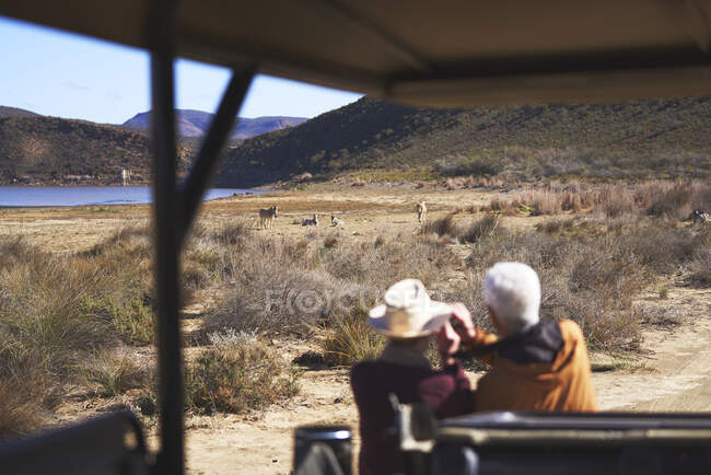 Senior couple on safari watching zebras in distance South Africa — Stock Photo