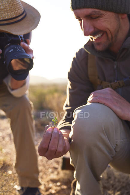 Посміхаючись сафарі екскурсовод пояснює рослину людині з цифровою камерою — стокове фото