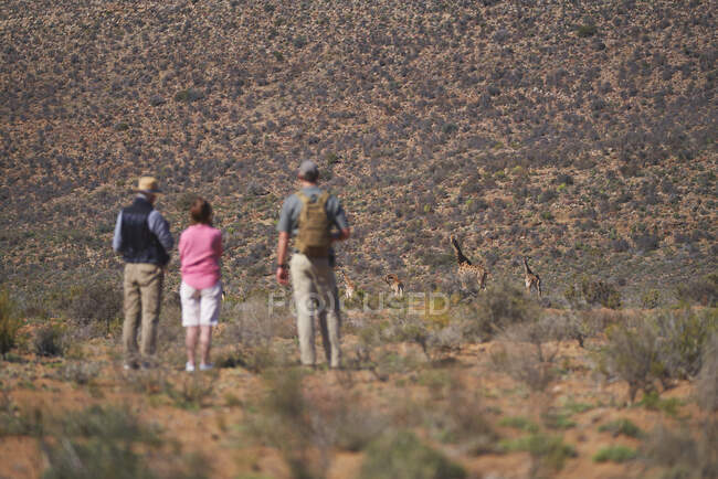 Safari grupo de turismo assistindo girafas na reserva de vida selvagem ensolarada — Fotografia de Stock