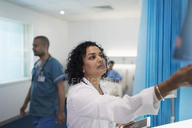 Зосереджена жінка-лікар працює в лікарняній кімнаті — стокове фото