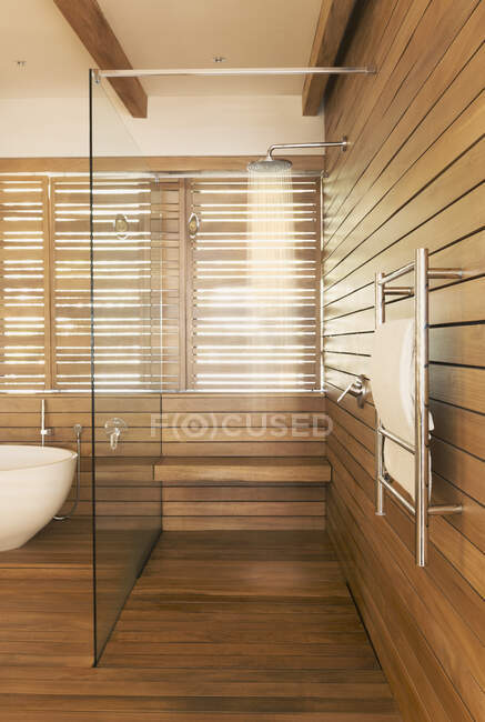 Bois entourant la douche vitrée dans la maison moderne et luxueuse vitrine salle de bain intérieure — Photo de stock