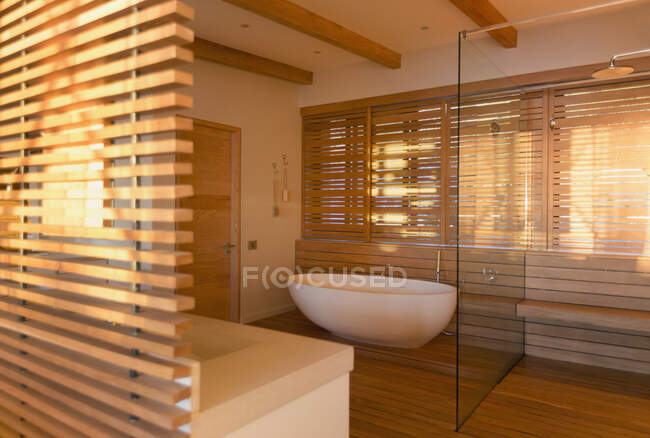 Großzügige Badewanne und Dusche umgeben von Holz im modernen, luxuriösen Wohnvitrinenbad — Stockfoto