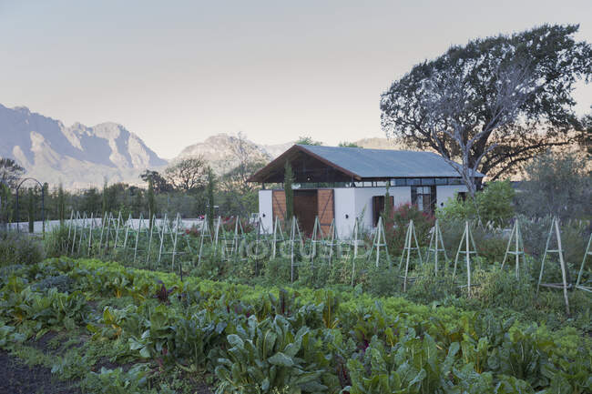 Идиллия, спокойный сад и деревенский дом на фоне гор — стоковое фото