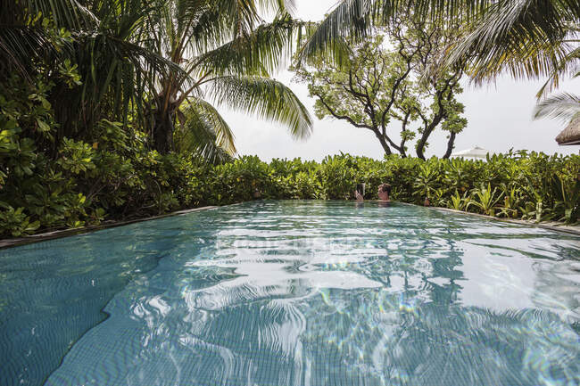 Tropische Palmen umgeben den Mann, der im Schwimmbad Buch liest, Malediven — Stockfoto