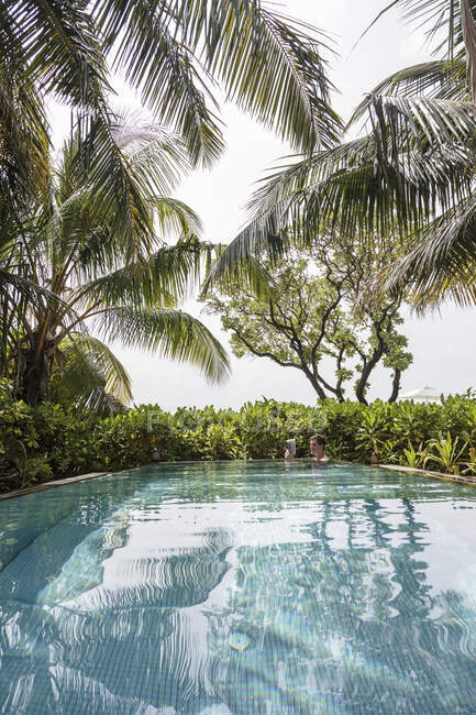 Tropische Palmen umgeben den Mann, der im Schwimmbad Buch liest, Malediven — Stockfoto
