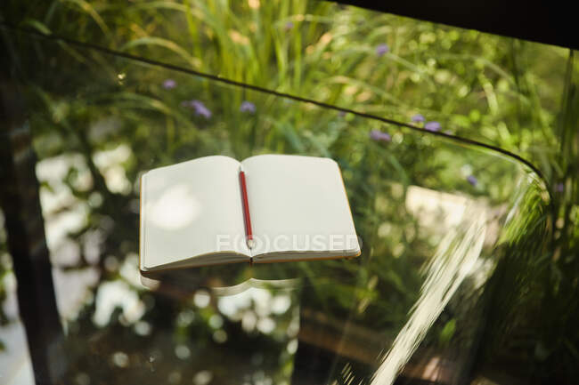 Notebook abierto a páginas en blanco en la mesa de cristal - foto de stock