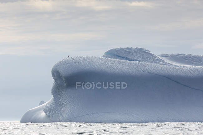 Majestic melting iceberg formation Greenland — Stock Photo