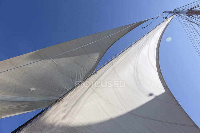 Sailboat sails blowing in breeze below sunny blue sky — Stock Photo