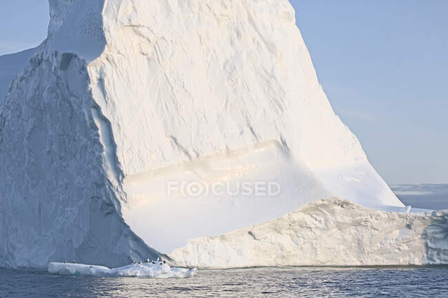 Soleggiato maestosa formazione di iceberg Groenlandia — Foto stock