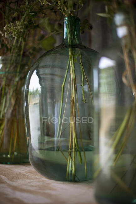 Flores rústicas en jarrón de vidrio verde claro - foto de stock