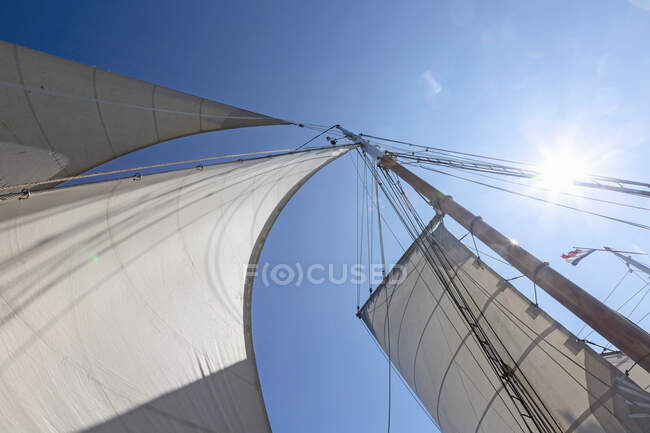 Sailboat sails blowing in wind below sunny blue sky — Stock Photo