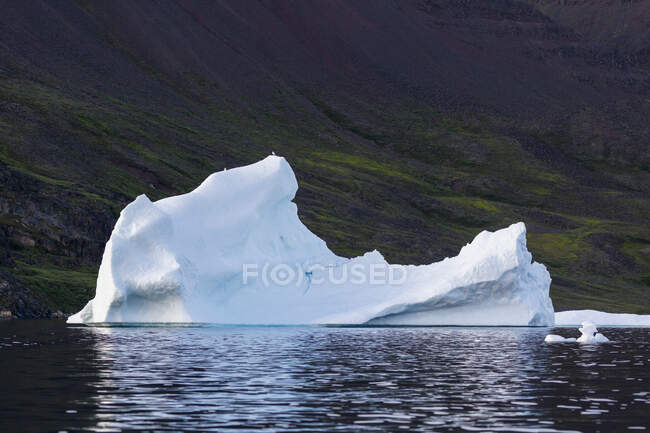 Schmelzender Eisberg in der Disko Bay in Westgrönland — Stockfoto