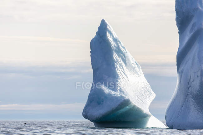 Величественное образование айсбергов на Атлантическом океане — стоковое фото