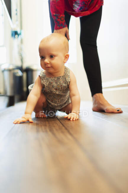 Coupez les fillettes en rampant sur le plancher de bois dur. — Photo de stock