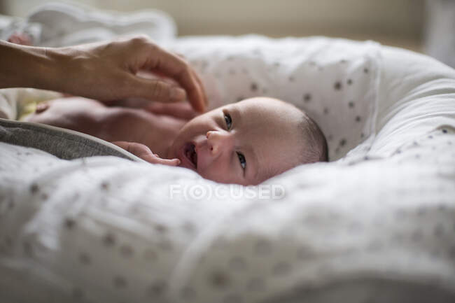Милый новорожденный мальчик лежит в колыбели — стоковое фото