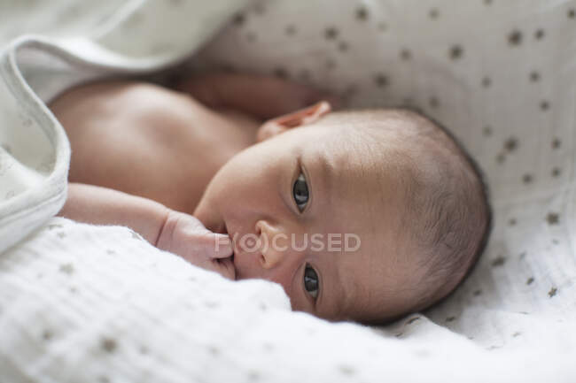 Close up cute newborn  baby boy in bassinet — Stock Photo