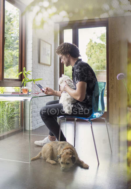 Молодой человек с собаками работает за столом в домашнем офисе — стоковое фото