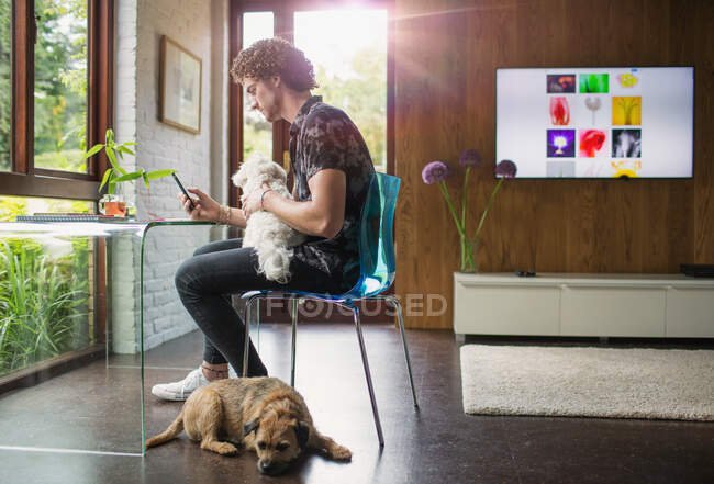 Молодий чоловік з собаками використовує смартфон в домашньому офісі — стокове фото