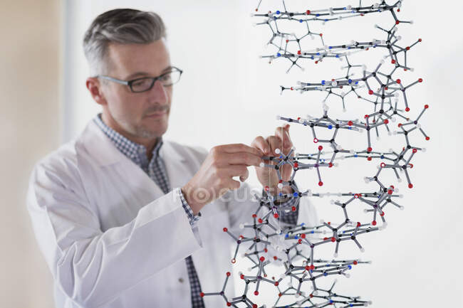 Science teacher assembling molecule model in laboratory classroom — Stock Photo