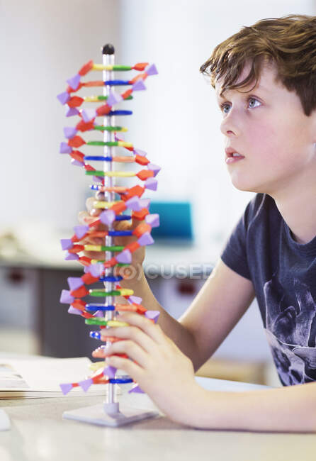 Menino curioso examinando modelo de DNA em sala de aula — Fotografia de Stock