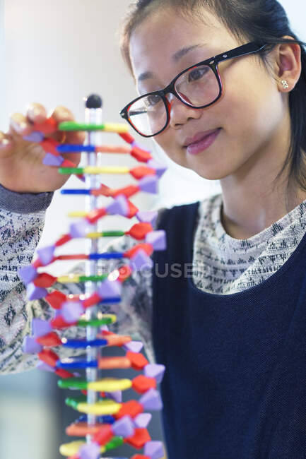 Дівчинка-студент вивчає ДНК в класі. — стокове фото