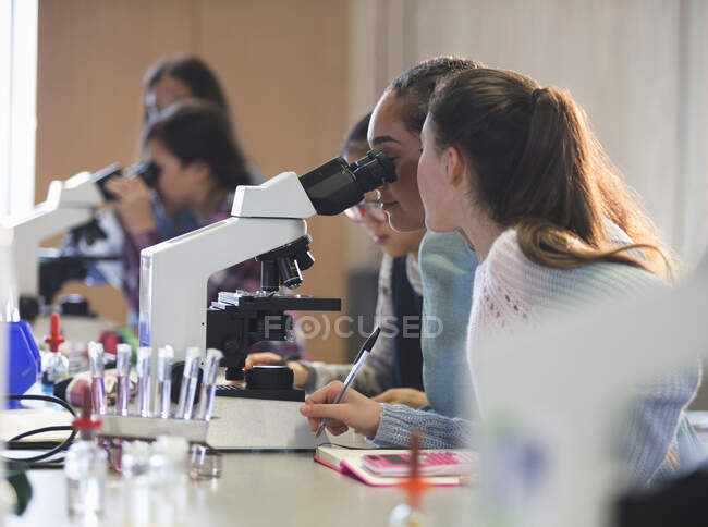 Girl students using microscope, conducting scientific experiment in laboratory classroom — Stock Photo