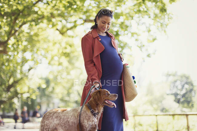 Mujer embarazada paseando perro en parque - foto de stock