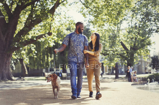 Счастливая молодая пара выгуливает собаку в солнечном парке — стоковое фото