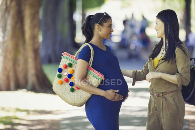 Mulher cumprimentando amigo grávida no parque — Fotografia de Stock