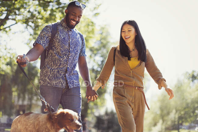 Sonriente joven pareja paseando perro en soleado parque - foto de stock