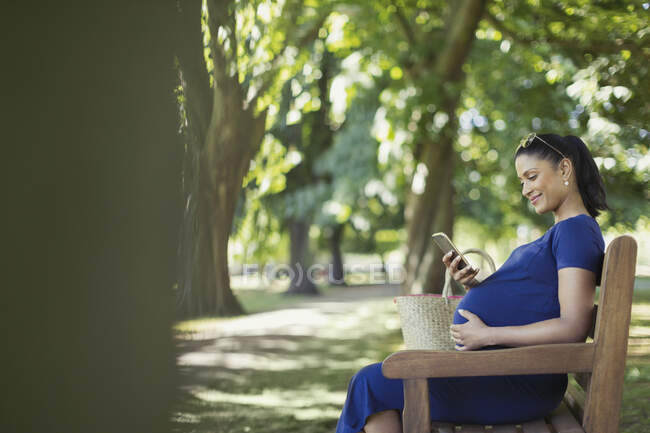 Sonriendo mujer embarazada mensajes de texto con teléfono celular en el banco del parque - foto de stock