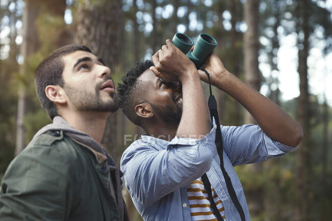 Young men with binoculars bird watching in woods — Stock Photo
