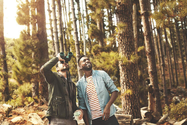 Junge befreundete Männer mit Ferngläsern schauen sich Bäume im Wald an — Stockfoto