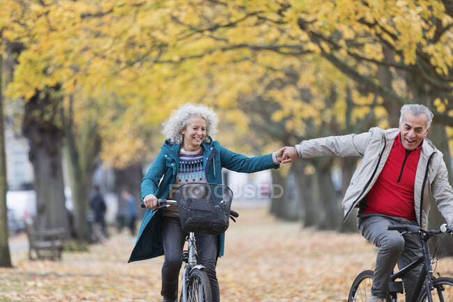 Affectionate senior couple holding hands, bike riding in autumn park — Stock Photo