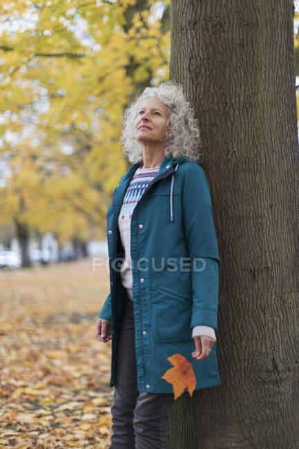 Serene senior woman leaning against tree in autumn park — Stock Photo