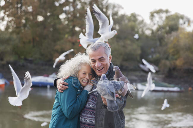 Playful senior couple feeding pigeons at pond in park — Stock Photo