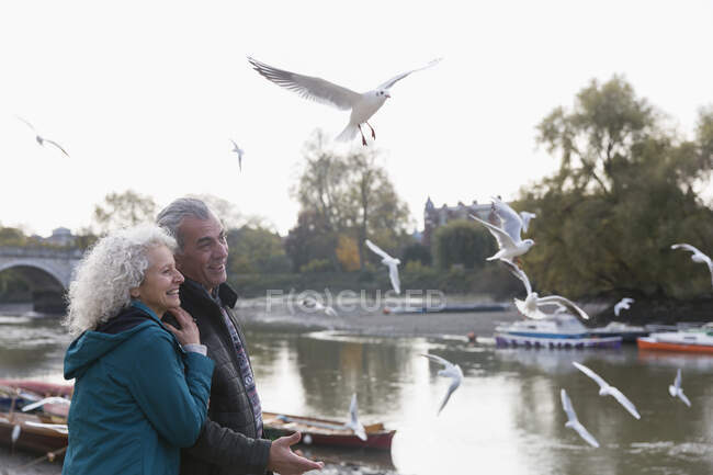 Affectueux couple de personnes âgées observant des oiseaux voler à la rivière — Photo de stock