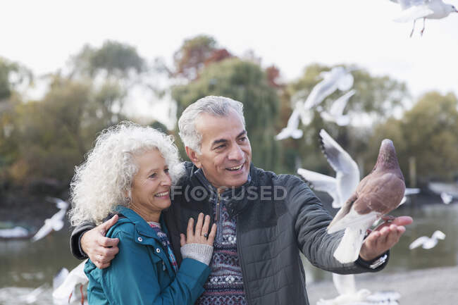 Pigeons landing on senior couple at pond in park — Stock Photo