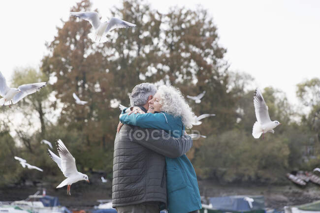 Sonriente, cariñosa pareja mayor abrazándose en el parque con aves voladoras - foto de stock