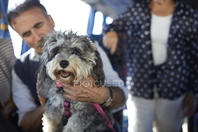 Uomo anziano in possesso di cane carino sul bus tour — Foto stock