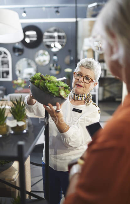 Worker showing succulent plant to customer in home decor shop — Stock Photo