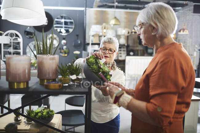 Seniorinnen kaufen im Einrichtungshaus ein — Stockfoto