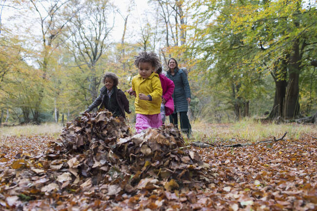 Familia jugando en otoño hojas en el bosque - foto de stock