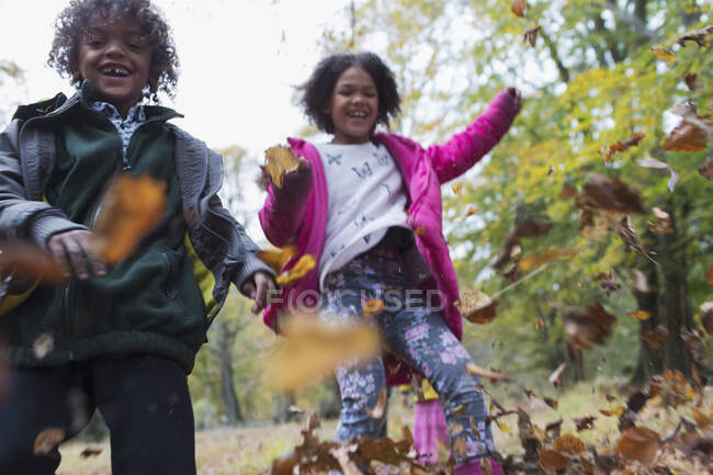 Retrato juguetón hermano y hermana jugando en hojas de otoño - foto de stock