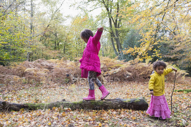 Menina andando em tronco caído em florestas de outono — Fotografia de Stock