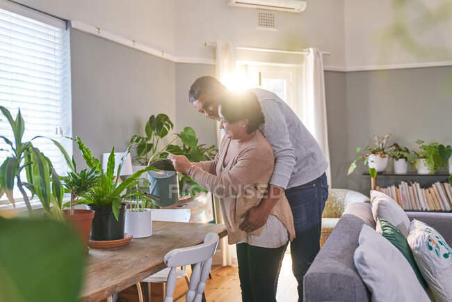 Casal afetuoso tendendo a plantas domésticas na sala de jantar — Fotografia de Stock