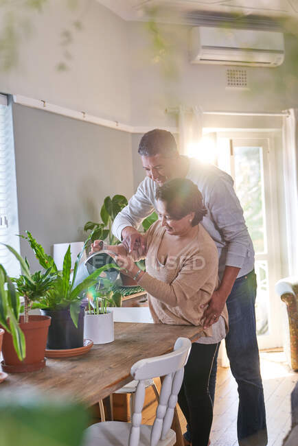 Liebevolles reifes Paar gießt Zimmerpflanzen — Stockfoto